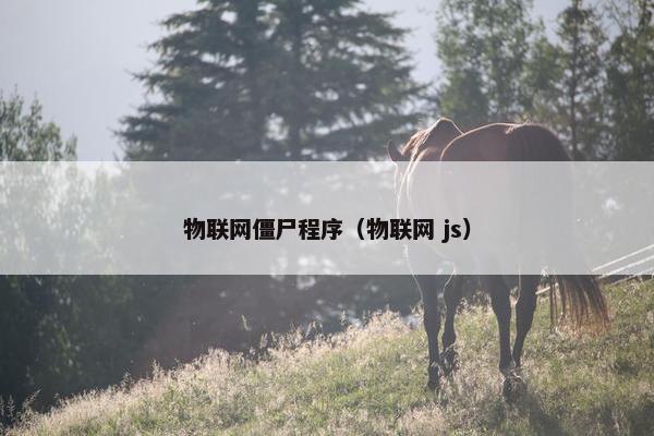 物联网僵尸程序（物联网 js）