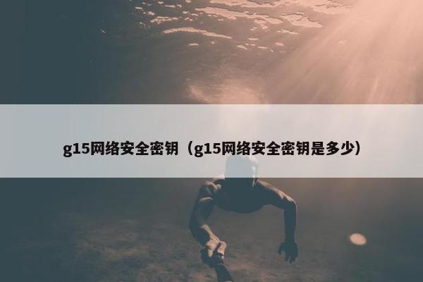 g15网络安全密钥（g15网络安全密钥是多少）