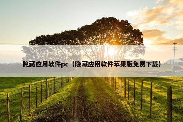 隐藏应用软件pc（隐藏应用软件苹果版免费下载）