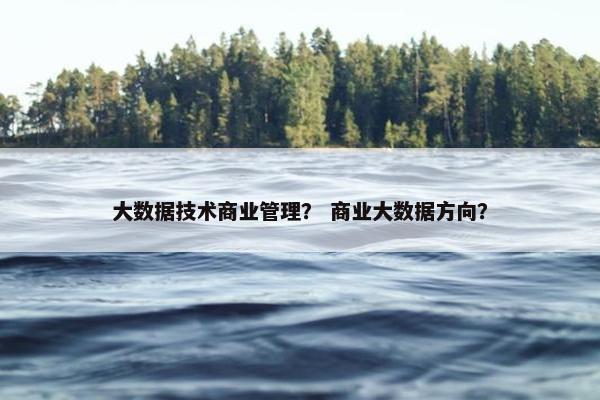 大数据技术商业管理？ 商业大数据方向？