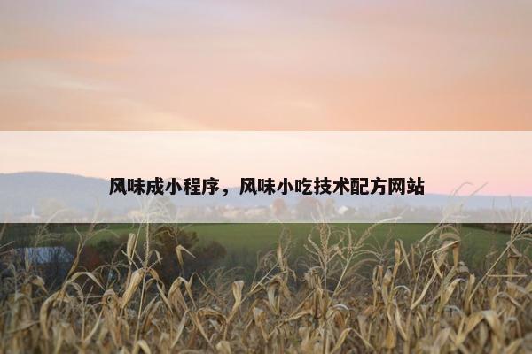 风味成小程序，风味小吃技术配方网站