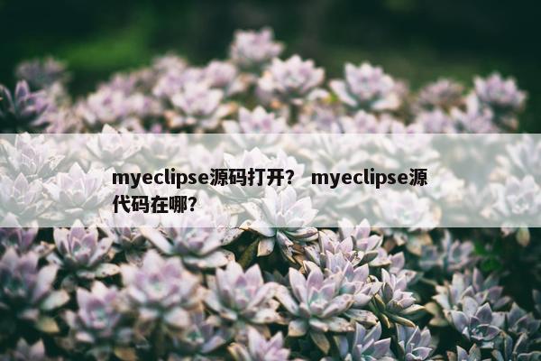 myeclipse源码打开？ myeclipse源代码在哪？
