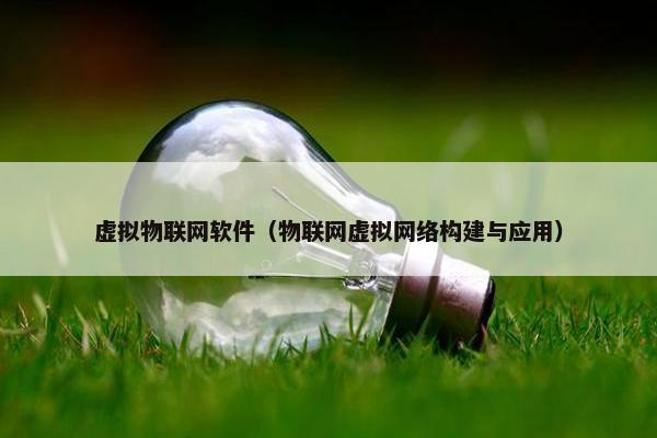 虚拟物联网软件（物联网虚拟网络构建与应用）
