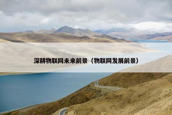 深耕物联网未来前景（物联网发展前景）