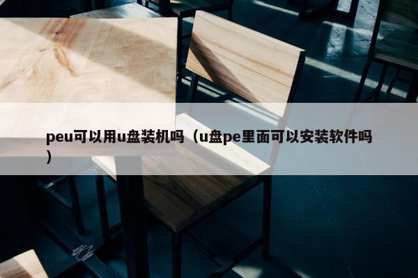 peu可以用u盘装机吗（u盘pe里面可以安装软件吗）