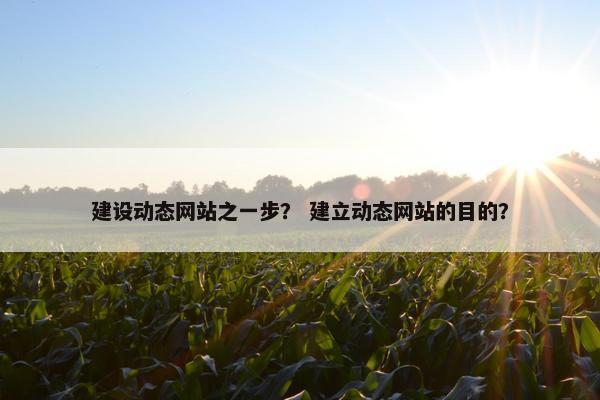 建设动态网站之一步？ 建立动态网站的目的？