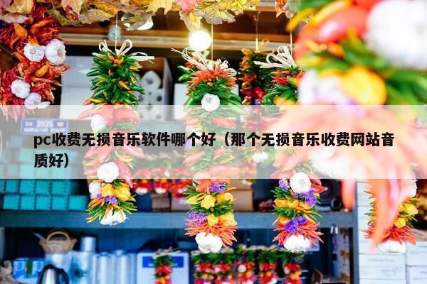 pc收费无损音乐软件哪个好（那个无损音乐收费网站音质好）