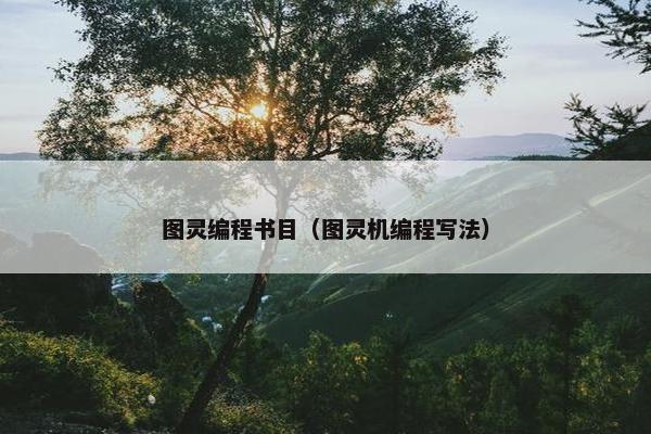 图灵编程书目（图灵机编程写法）