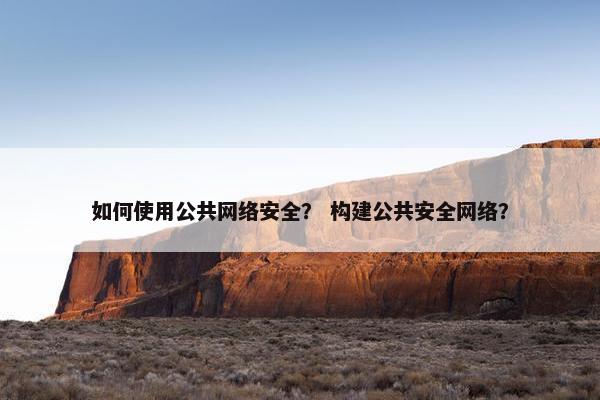 如何使用公共网络安全？ 构建公共安全网络？