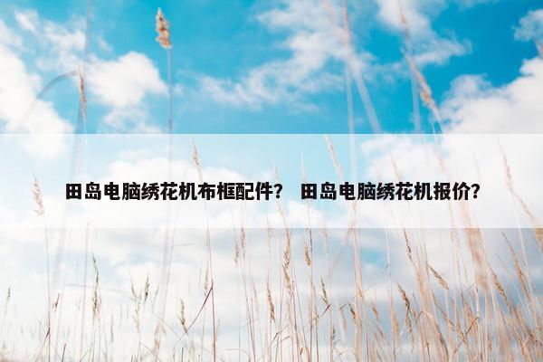 田岛电脑绣花机布框配件？ 田岛电脑绣花机报价？