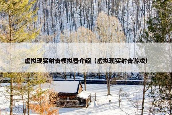 虚拟现实射击模拟器介绍（虚拟现实射击游戏）