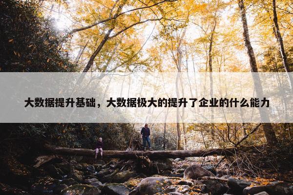大数据提升基础，大数据极大的提升了企业的什么能力