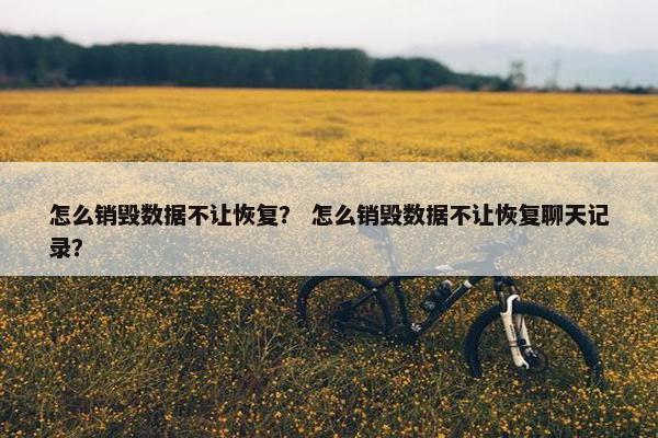 怎么销毁数据不让恢复？ 怎么销毁数据不让恢复聊天记录？