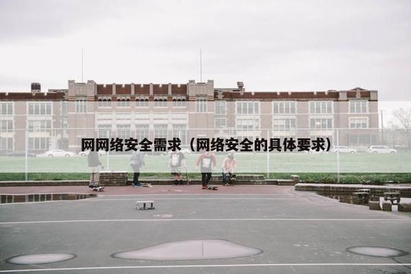 网网络安全需求（网络安全的具体要求）