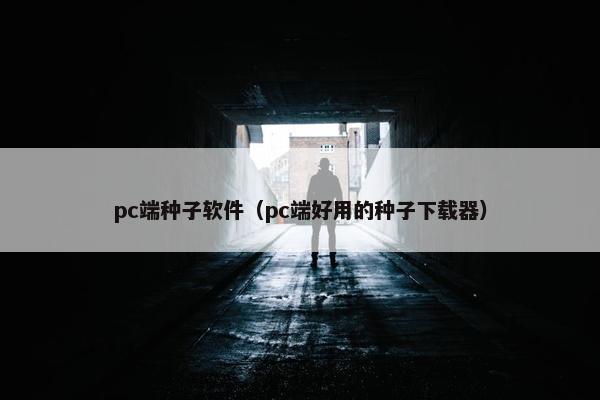 pc端种子软件（pc端好用的种子下载器）