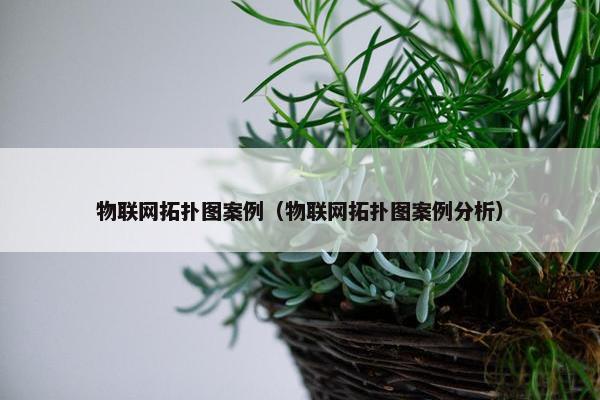 物联网拓扑图案例（物联网拓扑图案例分析）