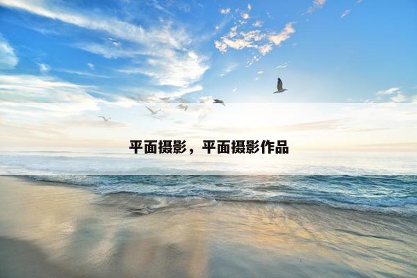 平面摄影，平面摄影作品
