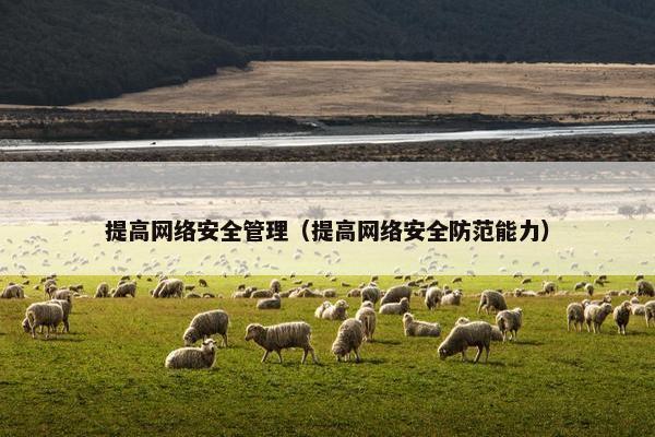 提高网络安全管理（提高网络安全防范能力）