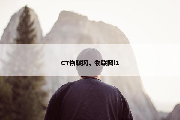 CT物联网，物联网l1