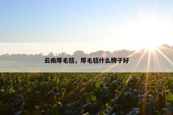 云南厚毛毯，厚毛毯什么牌子好