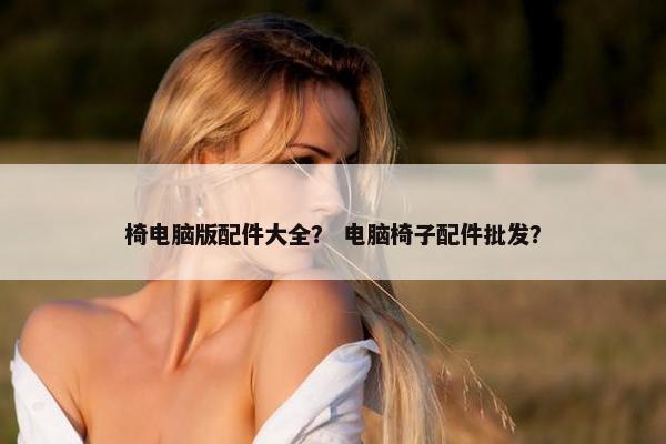 椅电脑版配件大全？ 电脑椅子配件批发？