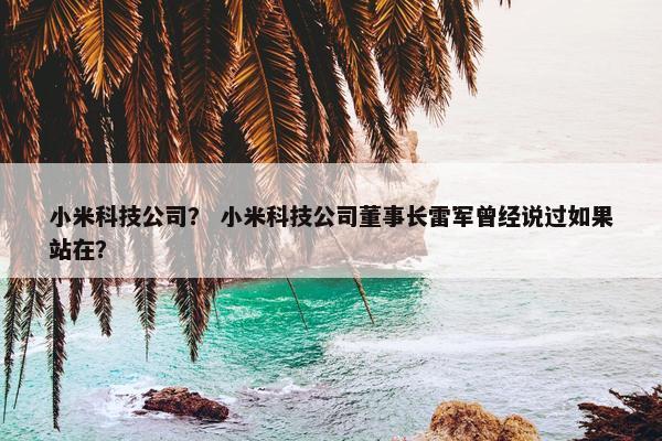 小米科技公司？ 小米科技公司董事长雷军曾经说过如果站在？