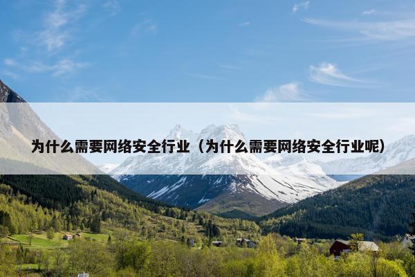 为什么需要网络安全行业（为什么需要网络安全行业呢）