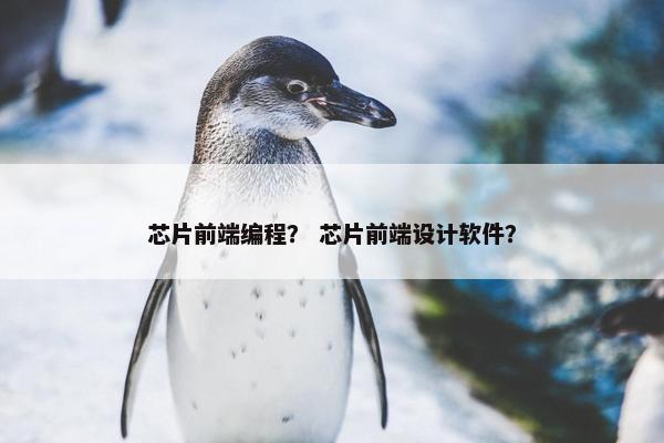 芯片前端编程？ 芯片前端设计软件？