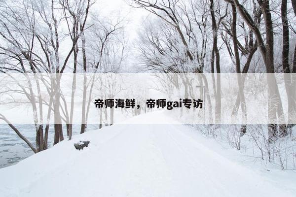 帝师海鲜，帝师gai专访