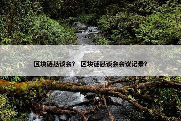 区块链恳谈会？ 区块链恳谈会会议记录？