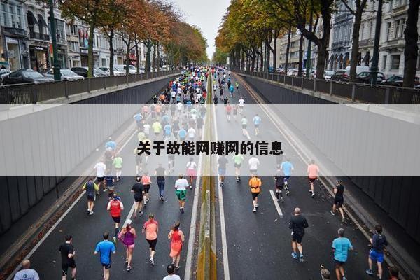关于故能网赚网的信息