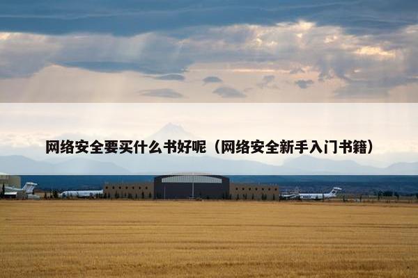 网络安全要买什么书好呢（网络安全新手入门书籍）