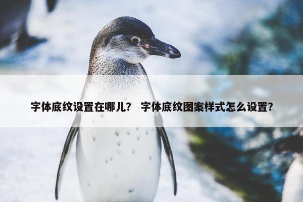 字体底纹设置在哪儿？ 字体底纹图案样式怎么设置？