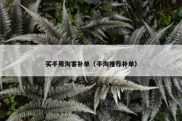 买手用淘客补单（手淘推荐补单）