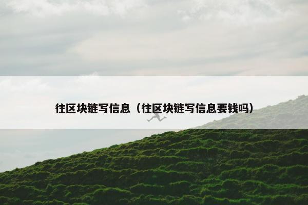 往区块链写信息（往区块链写信息要钱吗）