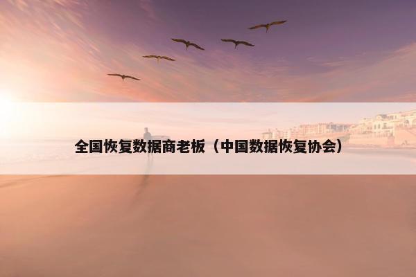 全国恢复数据商老板（中国数据恢复协会）