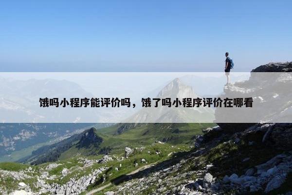 饿吗小程序能评价吗，饿了吗小程序评价在哪看