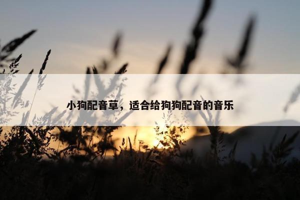 小狗配音草，适合给狗狗配音的音乐