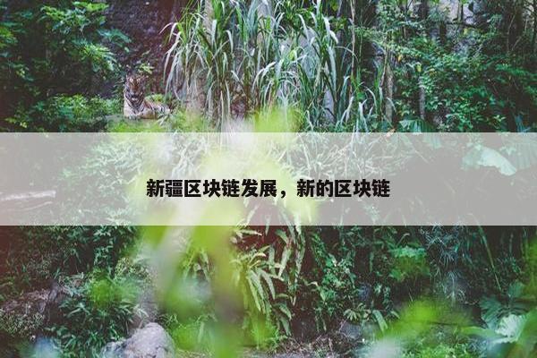 新疆区块链发展，新的区块链