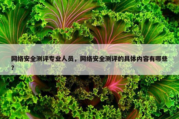 网络安全测评专业人员，网络安全测评的具体内容有哪些?