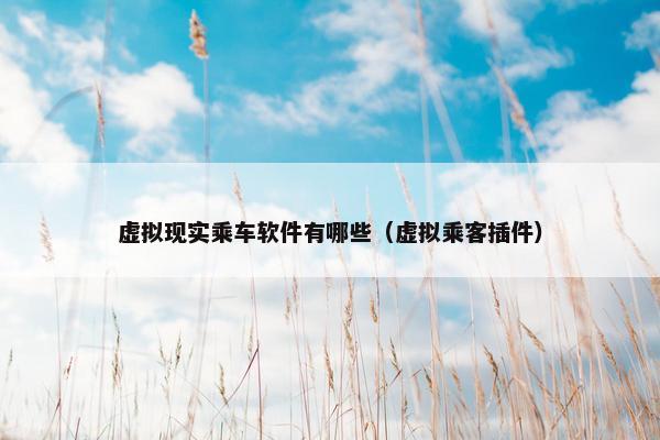 虚拟现实乘车软件有哪些（虚拟乘客插件）