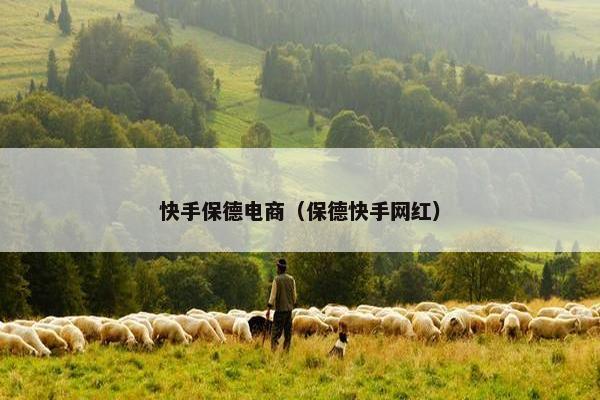 快手保德电商（保德快手网红）