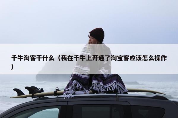 千牛淘客干什么（我在千牛上开通了淘宝客应该怎么操作）