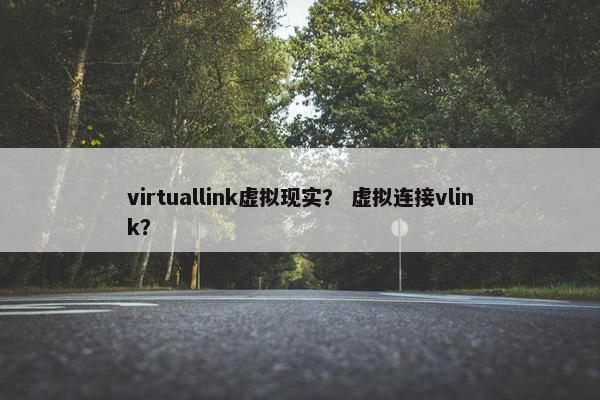virtuallink虚拟现实？ 虚拟连接vlink？