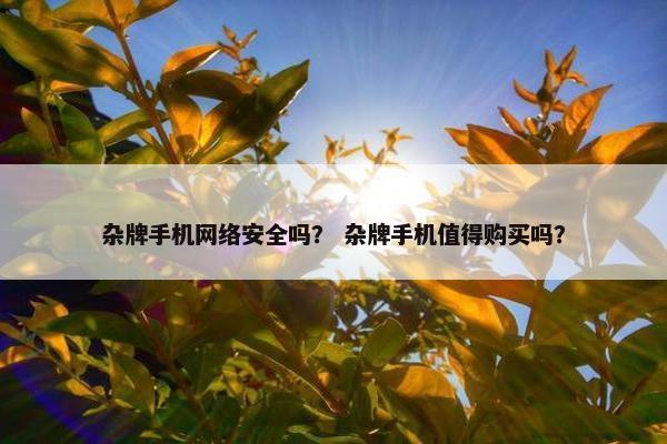 杂牌手机网络安全吗？ 杂牌手机值得购买吗？