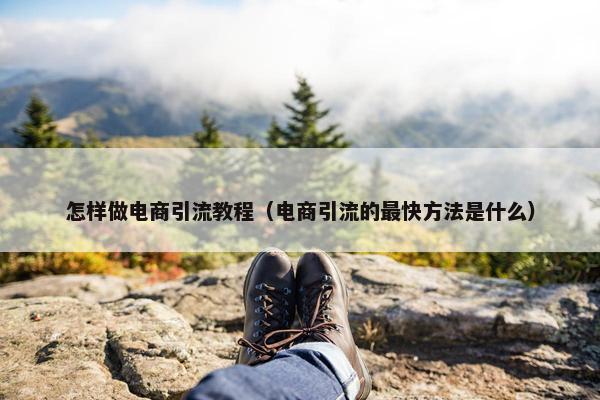 怎样做电商引流教程（电商引流的最快方法是什么）