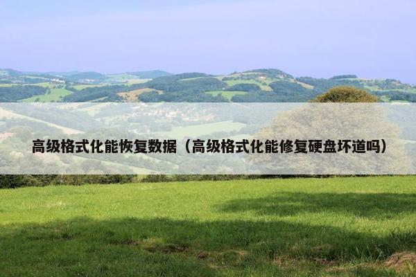 高级格式化能恢复数据（高级格式化能修复硬盘坏道吗）