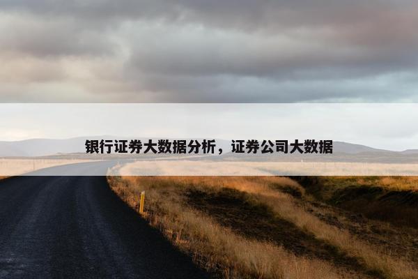 银行证券大数据分析，证券公司大数据