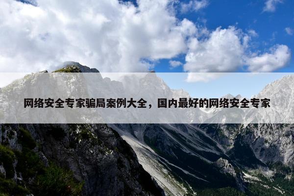 网络安全专家骗局案例大全，国内最好的网络安全专家