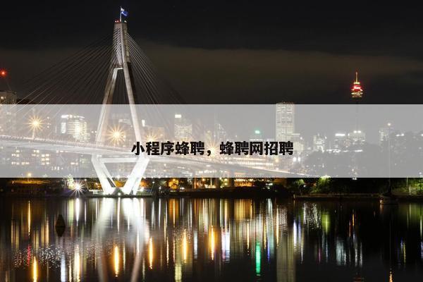 小程序蜂聘，蜂聘网招聘